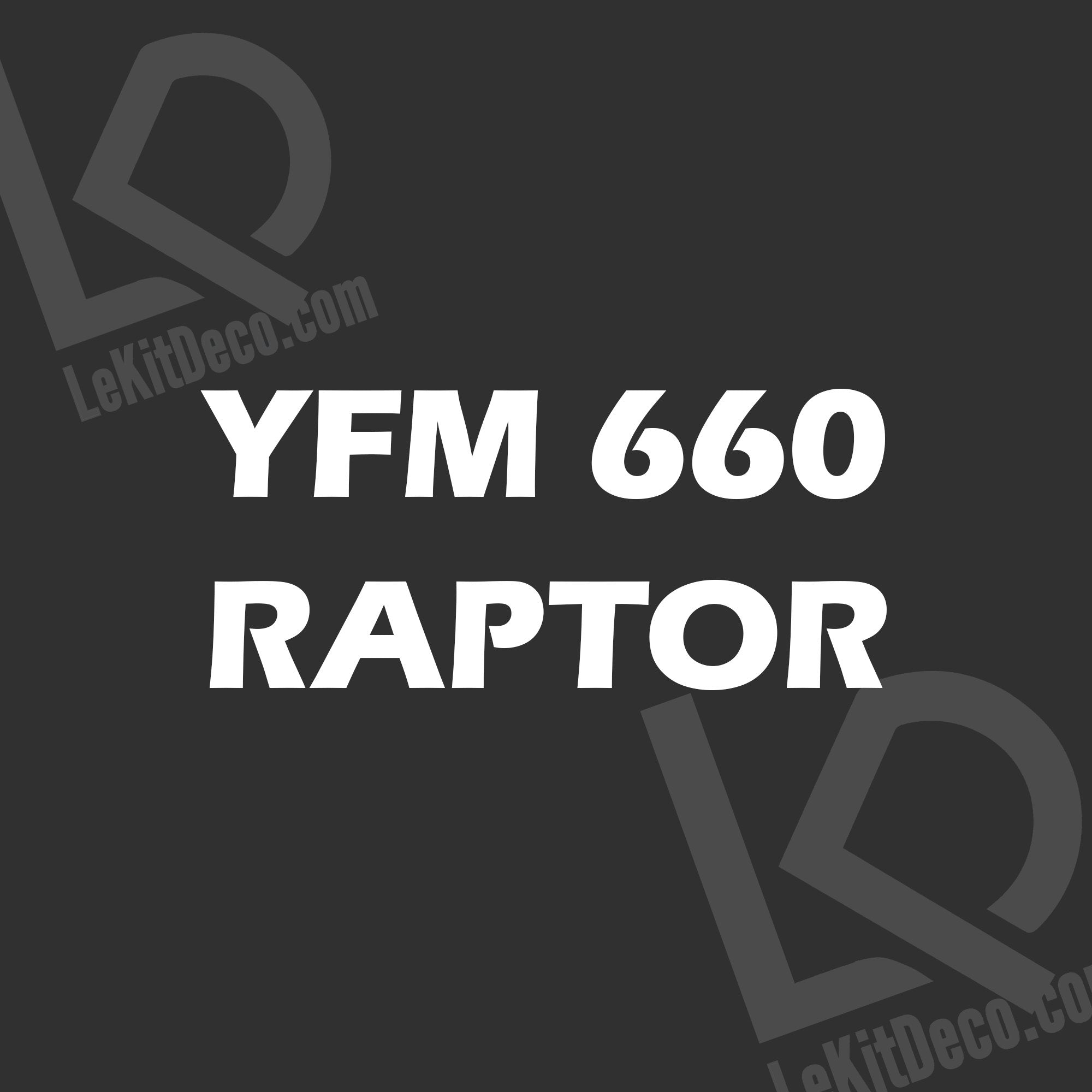 YFM 660 RAPTOR