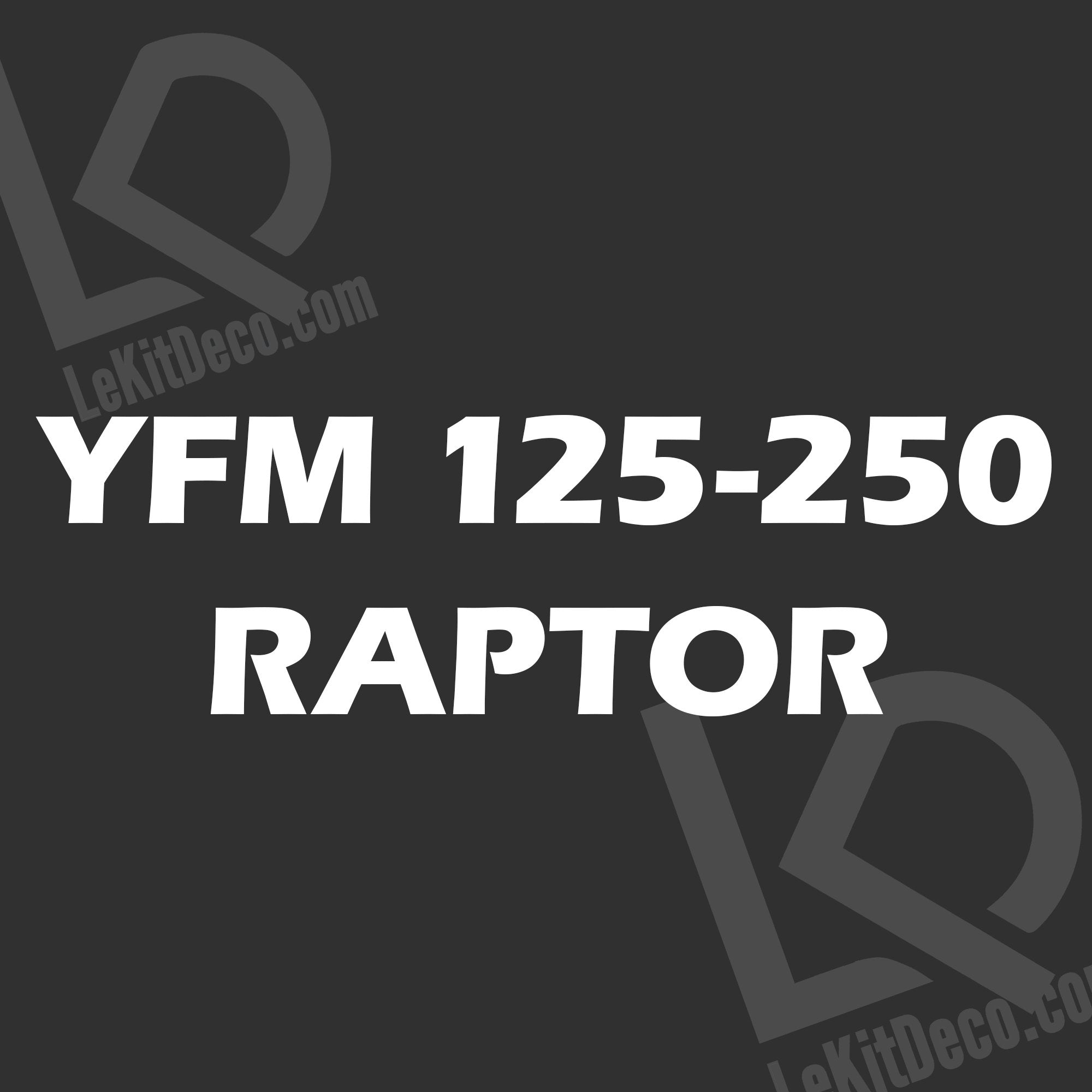 YFM 125-250 RAPTOR