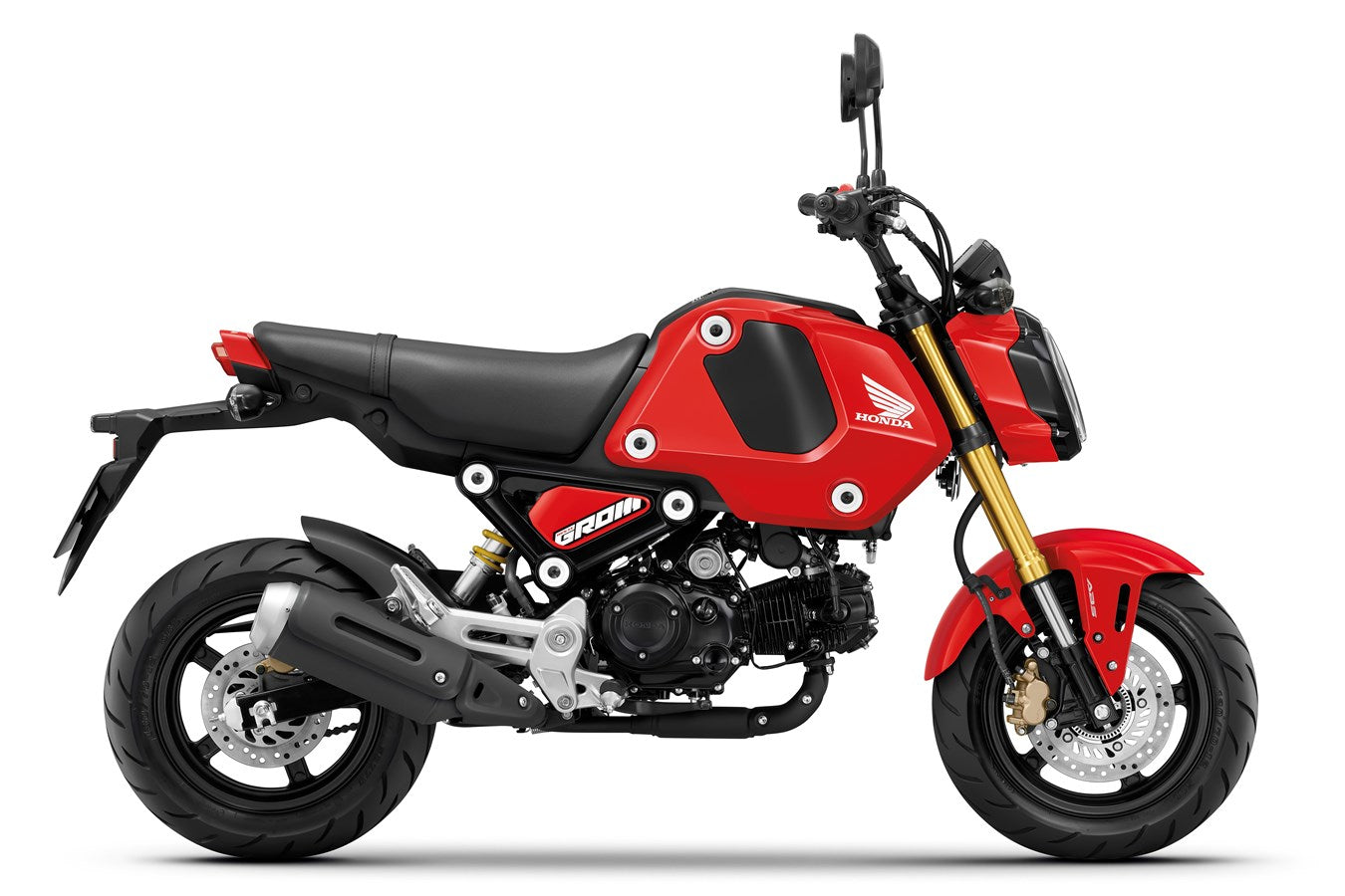HONDA GROM MSX 125 2021-2026 Graphics Template Vector