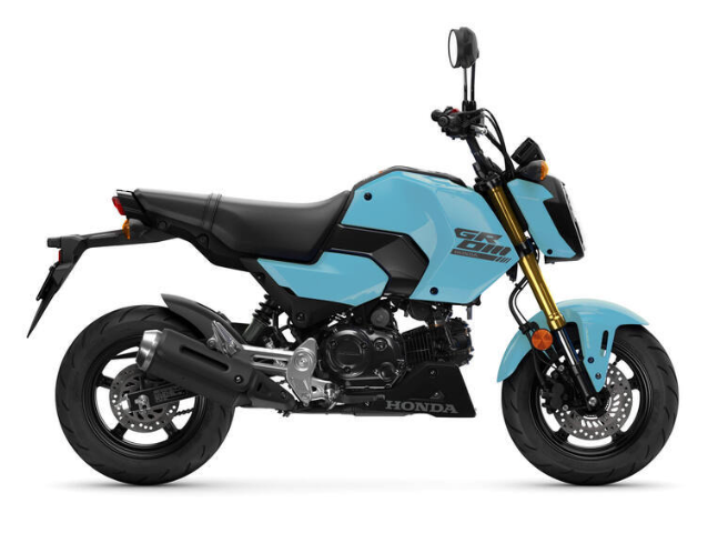 HONDA GROM MSX 125 2024-2026 Graphics Template Vector