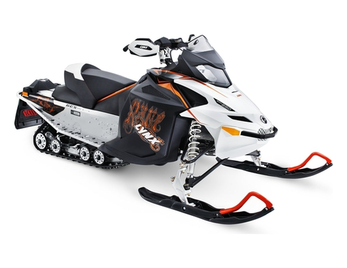 Lynx Rave RS 600 2008-2009 Tunnel