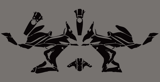 QJMOTOR SRK 800 RR 2024 Template vector graphics