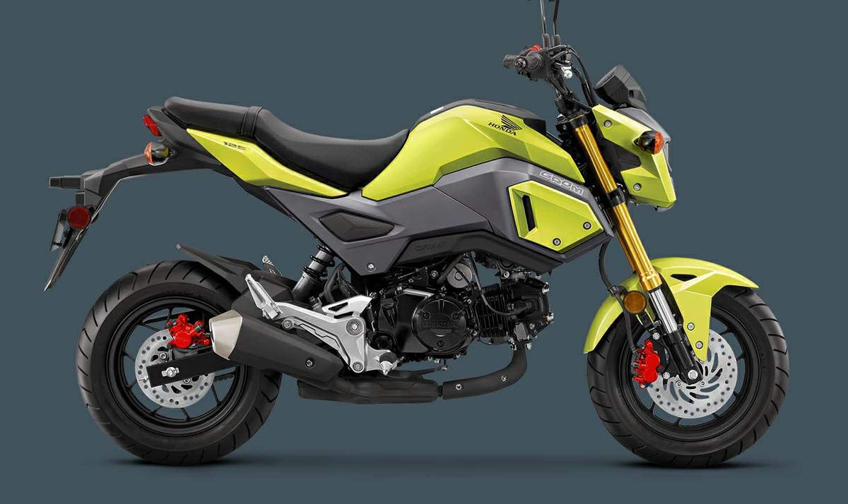 HONDA GROM MSX 125 2017-2020 Graphics Template Vector