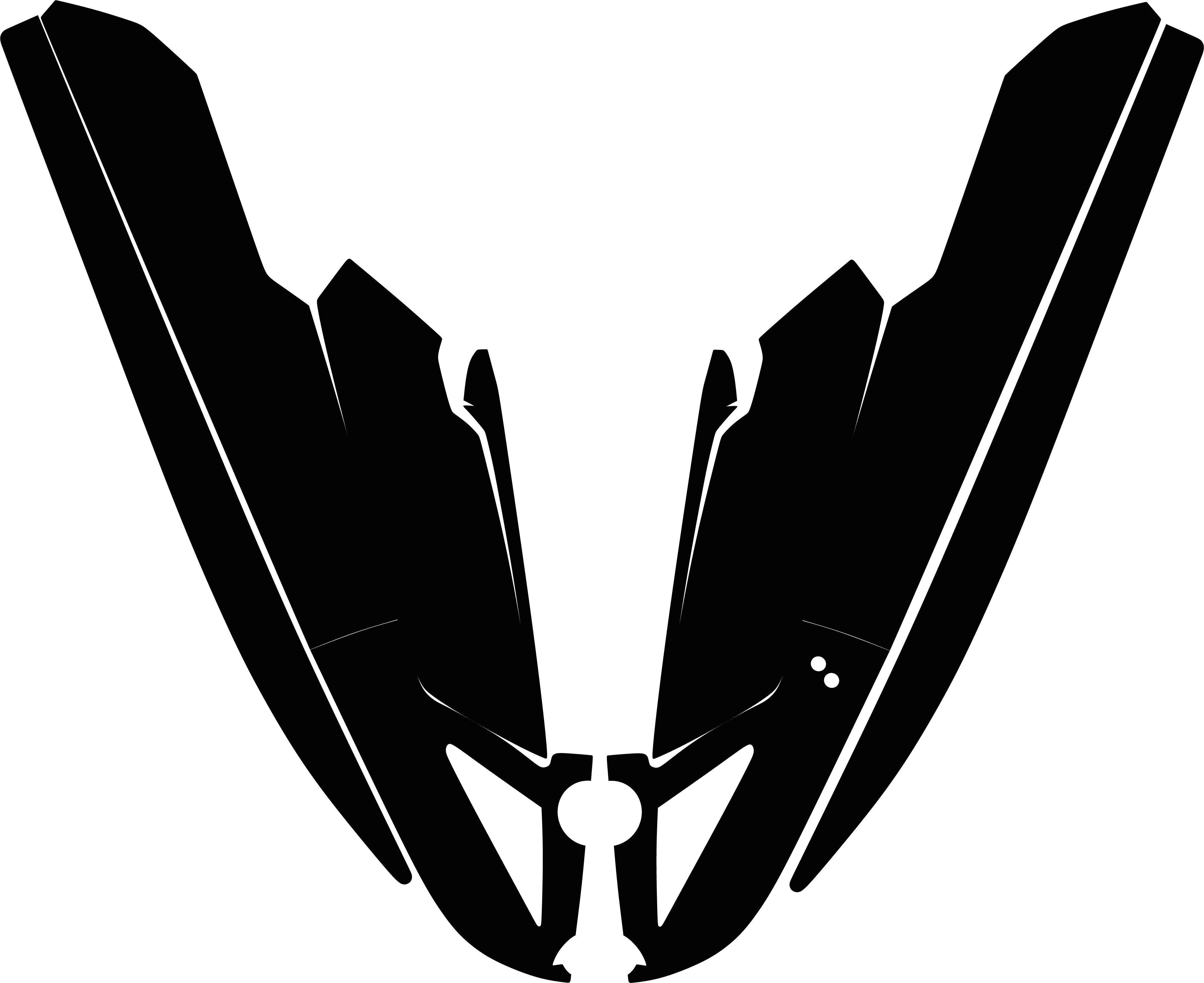 Polaris Octane Jetski Graphics Template Vector