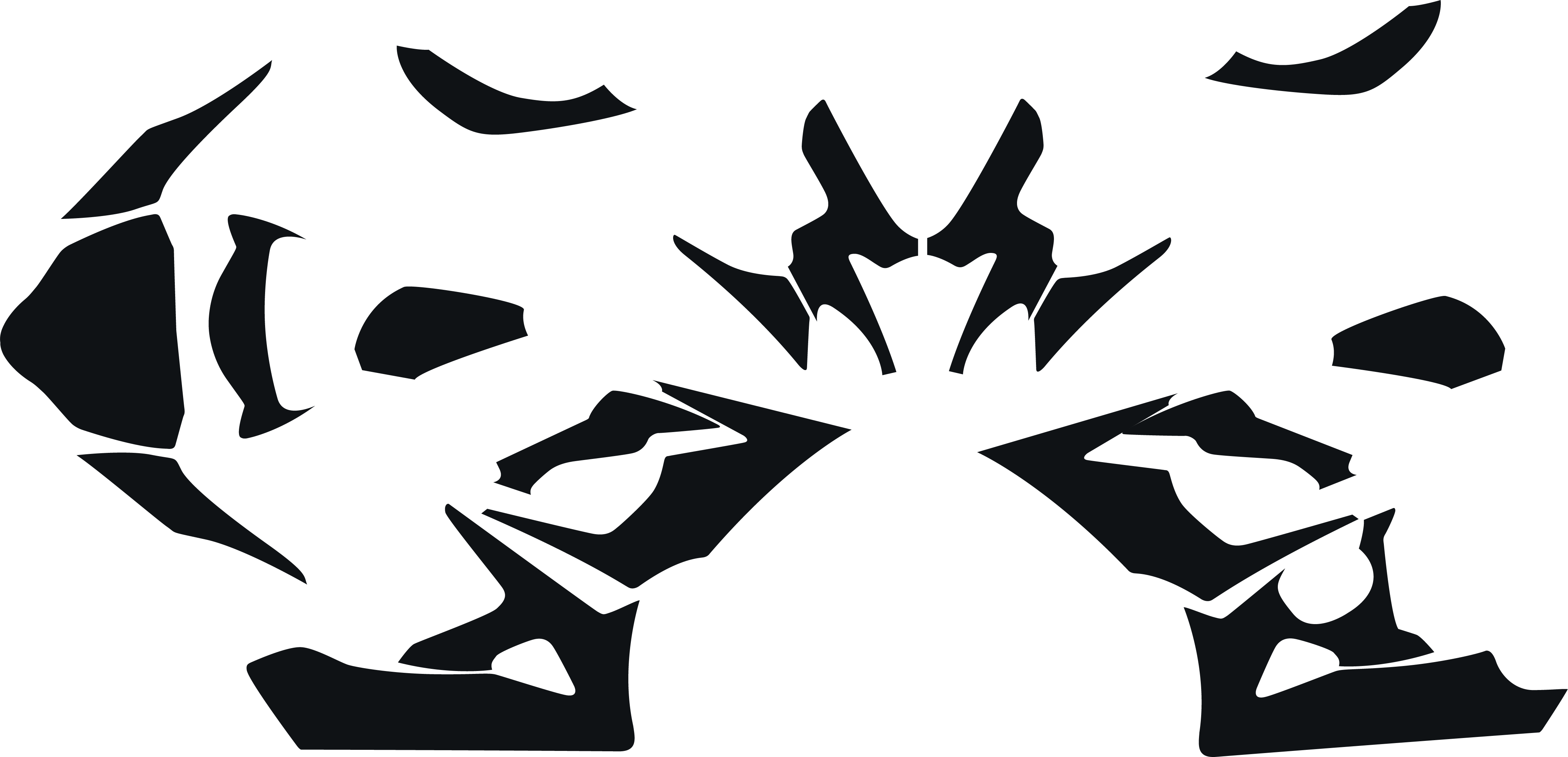 SUZUKI GSXR 1000 2005-2006 Graphics Template Vector (good adjustment, but need few cut)