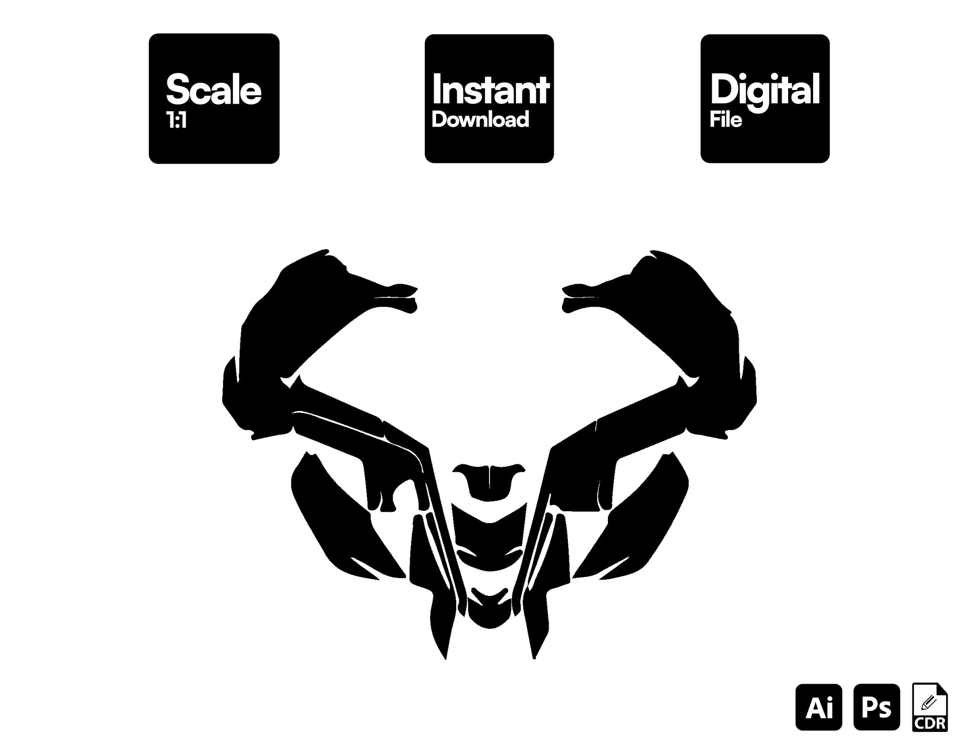 CAN AM DS 250 2006-2023 ATV Graphics Template Vector