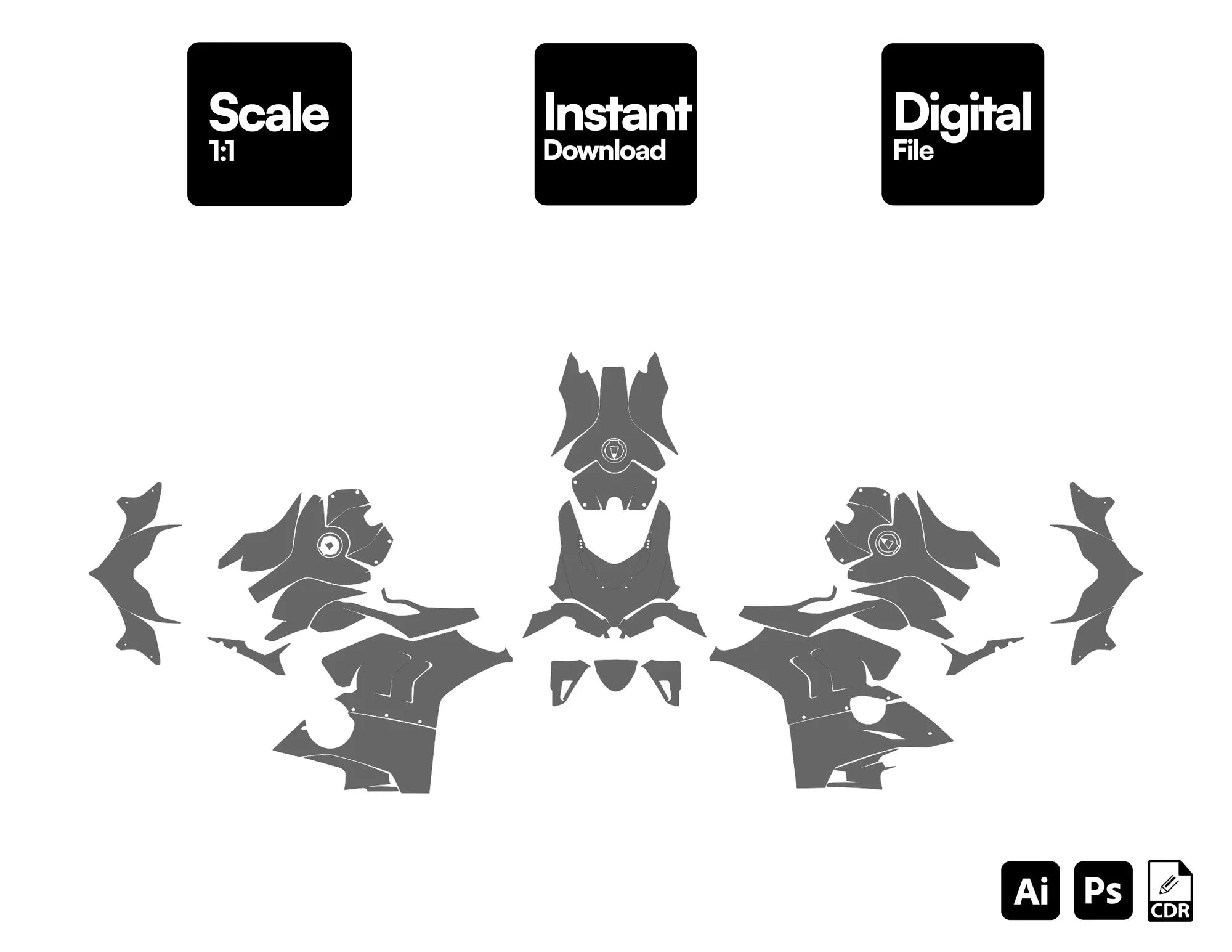 Ducati Panigale V4 (2020-2021) Graphics Template Vector