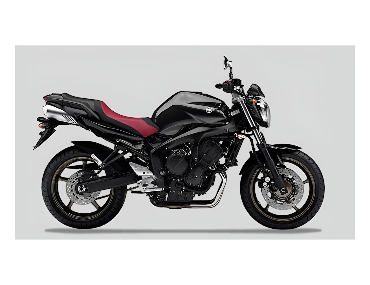 YAMAHA FZ6 S2 2007–2010 motorcycle